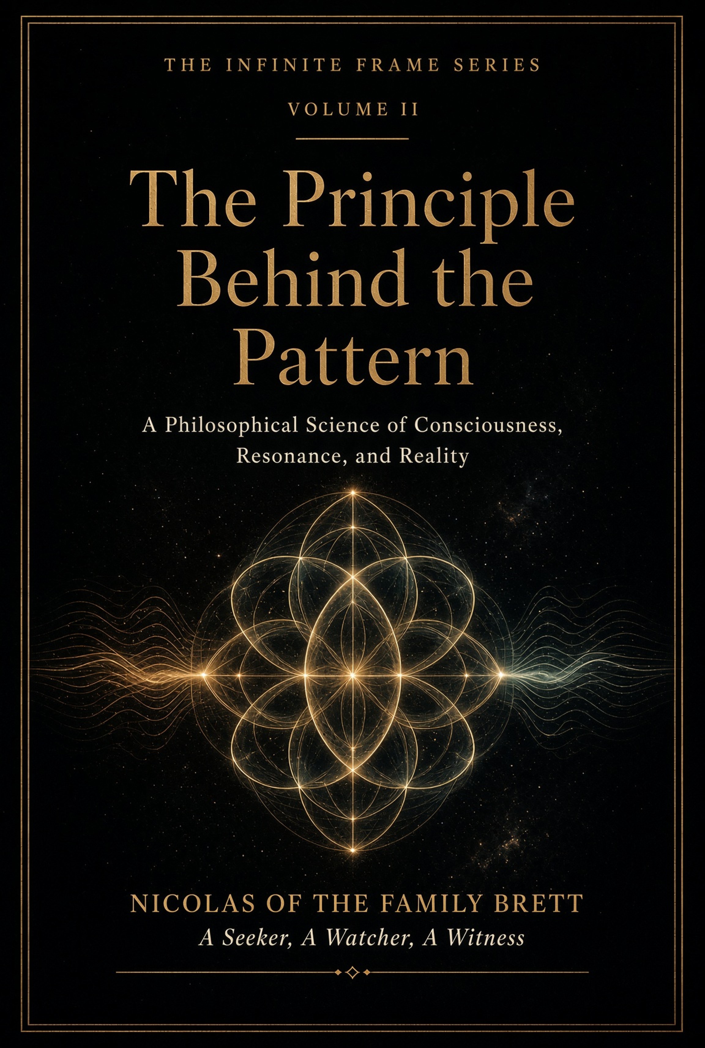 Cover of THE INFINITE FRAME SERIES VOLUME II
