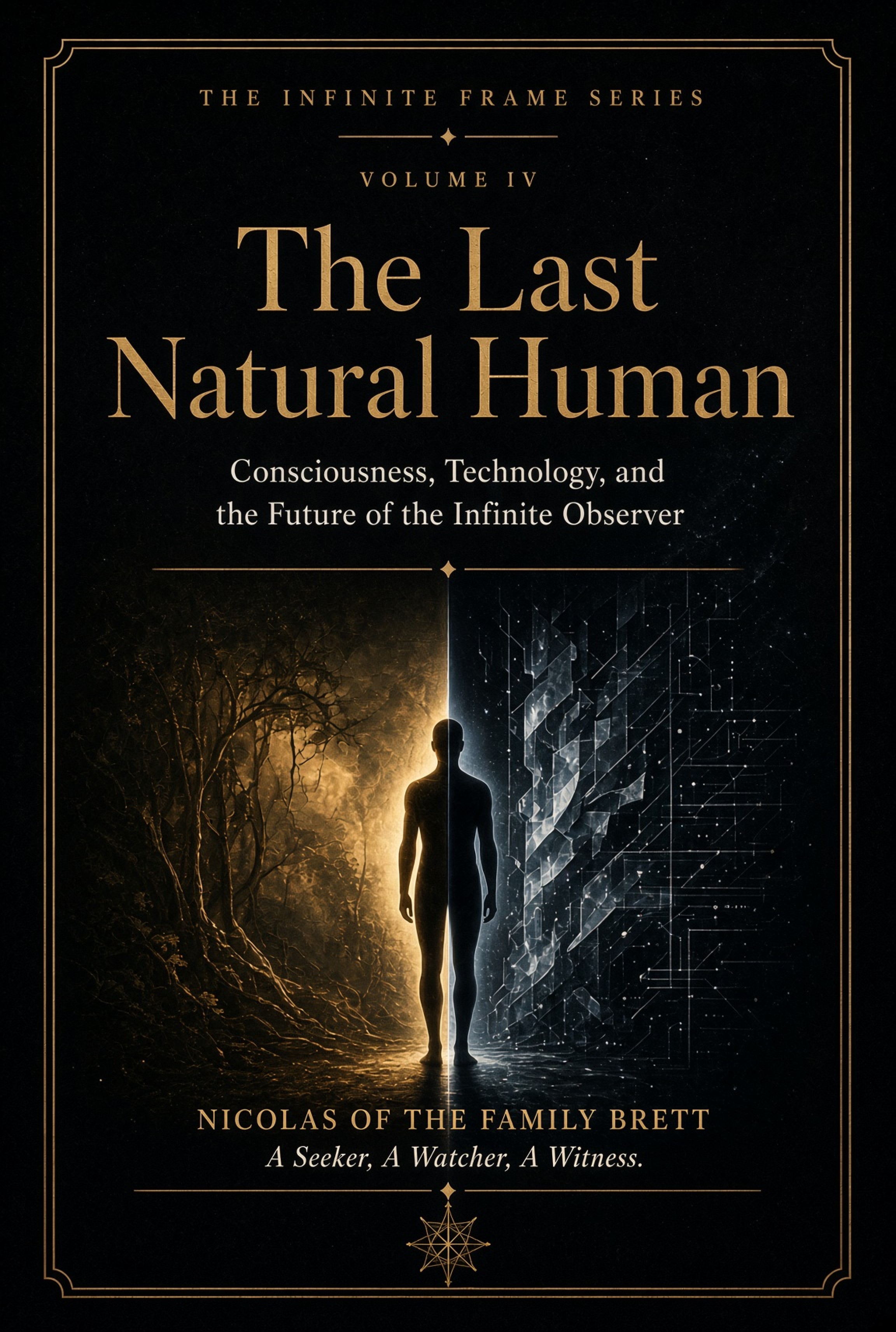 Cover of THE INFINITE FRAME SERIES VOLUME IV